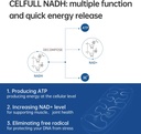 celfull-nadh-supplement-40mg-enchance-nm-2.jpg