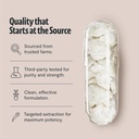 freshcap-mushrooms-premium-organic-lions-5.jpg
