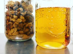lion-s-mane-mushroom-dual-extract-6-76-o-3.jpg