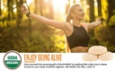 ellie-s-best-lions-mane-mushroom-extract-4.jpg