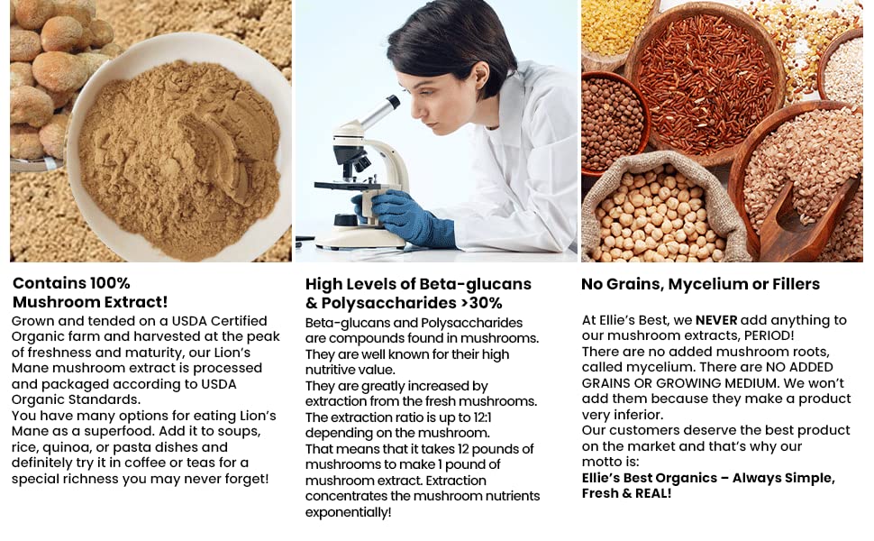 ellie-s-best-lions-mane-mushroom-extract-5.jpg