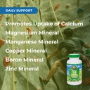 youngevity-bio-calcium-bioavailable-chel-4.jpg