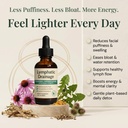 lymphatic-drainage-drops-for-bloat-relie-2.jpg