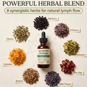 lymphatic-drainage-drops-for-bloat-relie-3.jpg