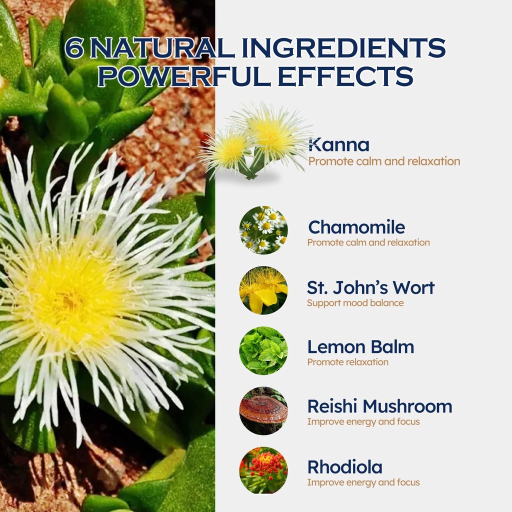 kanna-sceletium-tortuosum-extract-drops--3.jpg