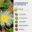 kanna-sceletium-tortuosum-extract-drops--3.jpg
