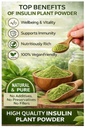 insulin-plant-powder-costus-igneus-100-g-3.jpg