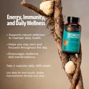 freshcap-mushrooms-premium-organic-ultim-4.jpg
