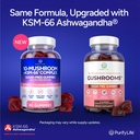 sugar-free-mushroom-gummies-with-ksm-66--2.jpg
