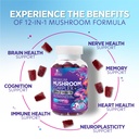 mushroom-gummies-supplement-12-in-1-high-5.jpg
