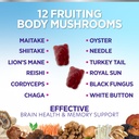 mushroom-gummies-supplement-12-in-1-high-6.jpg