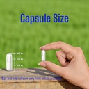 liposomal-vitamin-c-supplement-1700mg-24-6.jpg