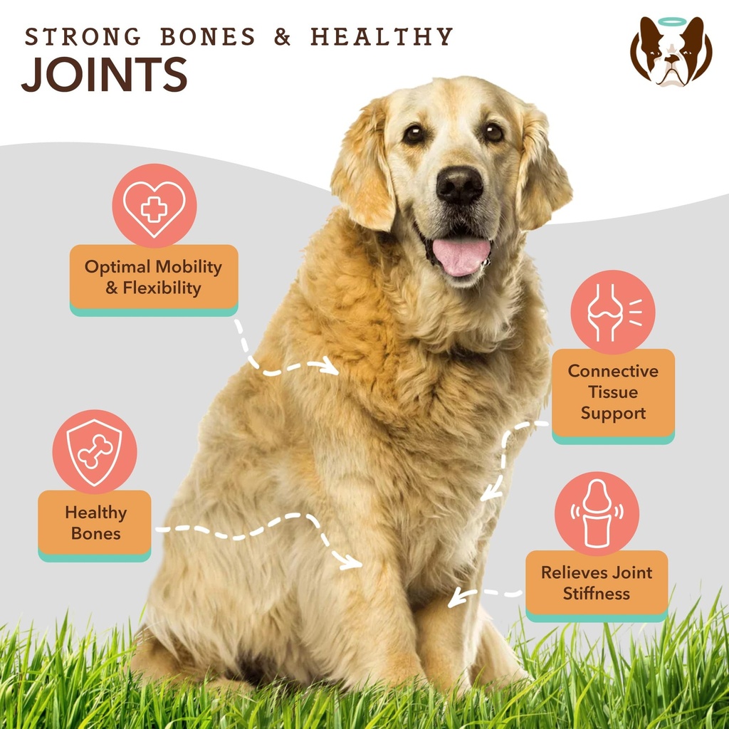 natural-dog-company-canine-vitality-dog--6.jpg