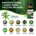 cleavers-lymphatic-drainage-liquid-drops-4.jpg