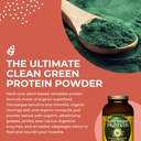 healthforce-superfoods-elite-green-prote-4.jpg