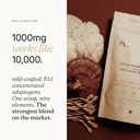 mushroom-coffee-creamer-superfood-blend--4.jpg