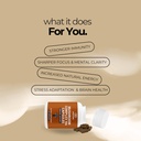 up-down-supplements-mushroom-complex-10x-3.jpg
