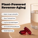 astaxanthin-supplement-24mg-natural-soft-3.jpg