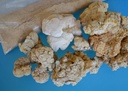 tiger-milk-mushroom-lignosus-rhino-usa-l-4.jpg