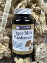 tiger-milk-mushroom-lignosus-rhino-usa-l-5.jpg