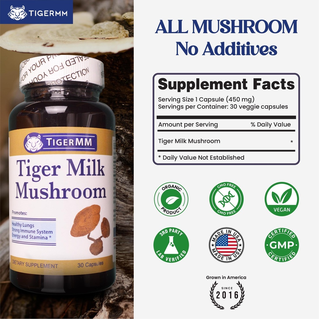 tiger-milk-mushroom-lignosus-rhino-usa-l-3.jpg