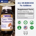 tiger-milk-mushroom-lignosus-rhino-usa-l-3.jpg