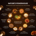 ovia-10-mushroom-coffee-60-servings-for--3.jpg