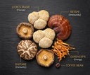 ryzal-mushroom-coffee-instant-organic-en-4.jpg