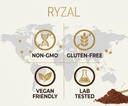 ryzal-mushroom-coffee-instant-organic-en-5.jpg