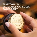 solgar-choline-inositol-500-mg-500-mg-10-3.jpg