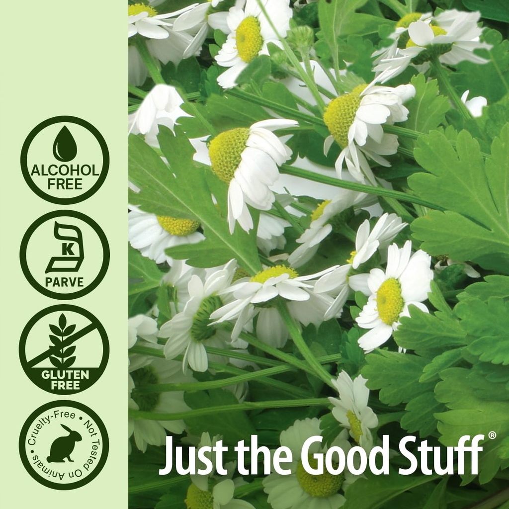 nature-s-answer-alcohol-free-feverfew-20-4.jpg