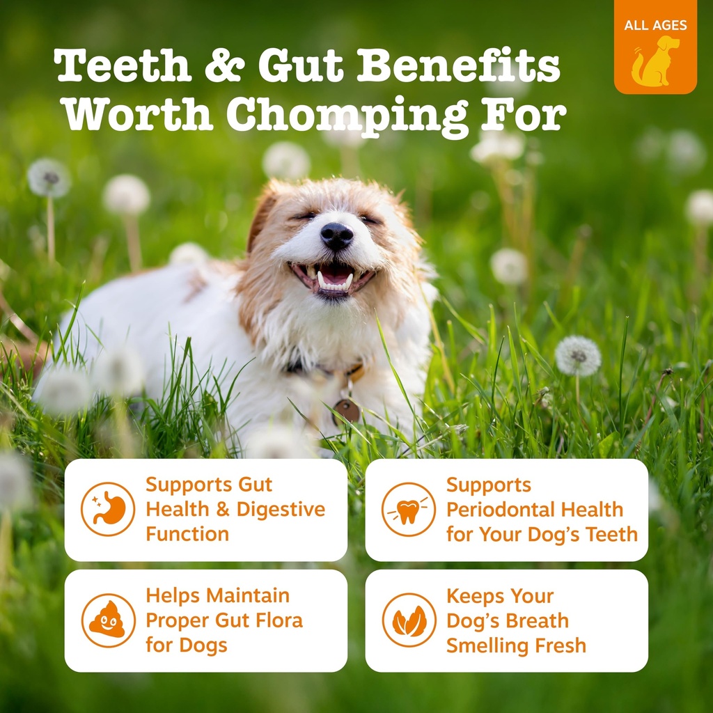 zesty-paws-orastix-for-dogs-probiotic-st-2.jpg