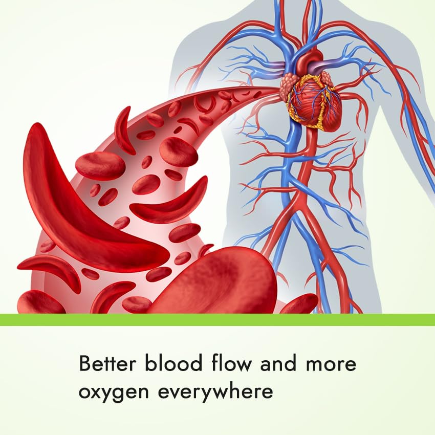 artery-support-artery-circulation-supple-4.jpg