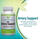 artery-support-artery-circulation-supple-3.jpg