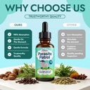 ellora-gut-cleanse-drops-herbal-digestiv-6.jpg