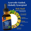 holy-basil-extract-drops-for-cognitive-e-2.jpg