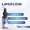 lipo-flow-daily-botanical-supplement-wit-2.jpg