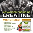 mfl-muscle-creatine-3-forms-of-micronize-3.jpg