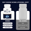 500mg-superoxide-dismutase-supplement-so-3.jpg