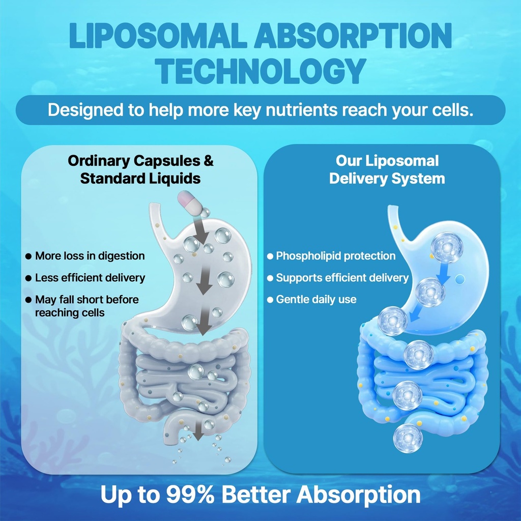 liposomal-calcium-magnesium-zinc-liquid--2.jpg