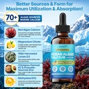 liposomal-calcium-magnesium-zinc-liquid--6.jpg
