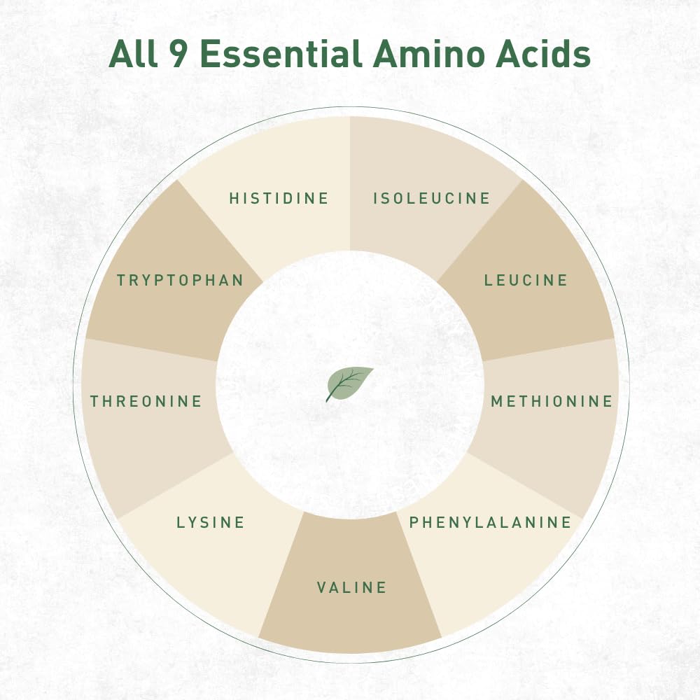 hemp-vegan-protein-powder-unflavored-veg-3.jpg