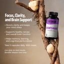 freshcap-mushrooms-premium-organic-lions-5.jpg