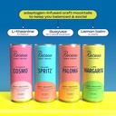 recess-zero-proof-craft-mocktails-alcoho-2.jpg