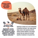 milk-wealth-camel-colostrum-powder-50g-i-6.jpg