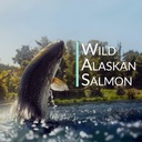 wild-alaskan-salmon-bone-broth-collagen--4.jpg