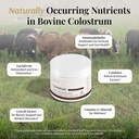 colostrum-powder-chocolate-grass-fed-col-6.jpg