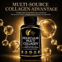 coc-march-n-m-d-molecular-multi-collagen-2.jpg