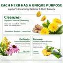 lymphatic-drainage-supplement-lymphatic--4.jpg