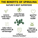 sunlit-best-ultimate-chlorella-spirulina-3.jpg